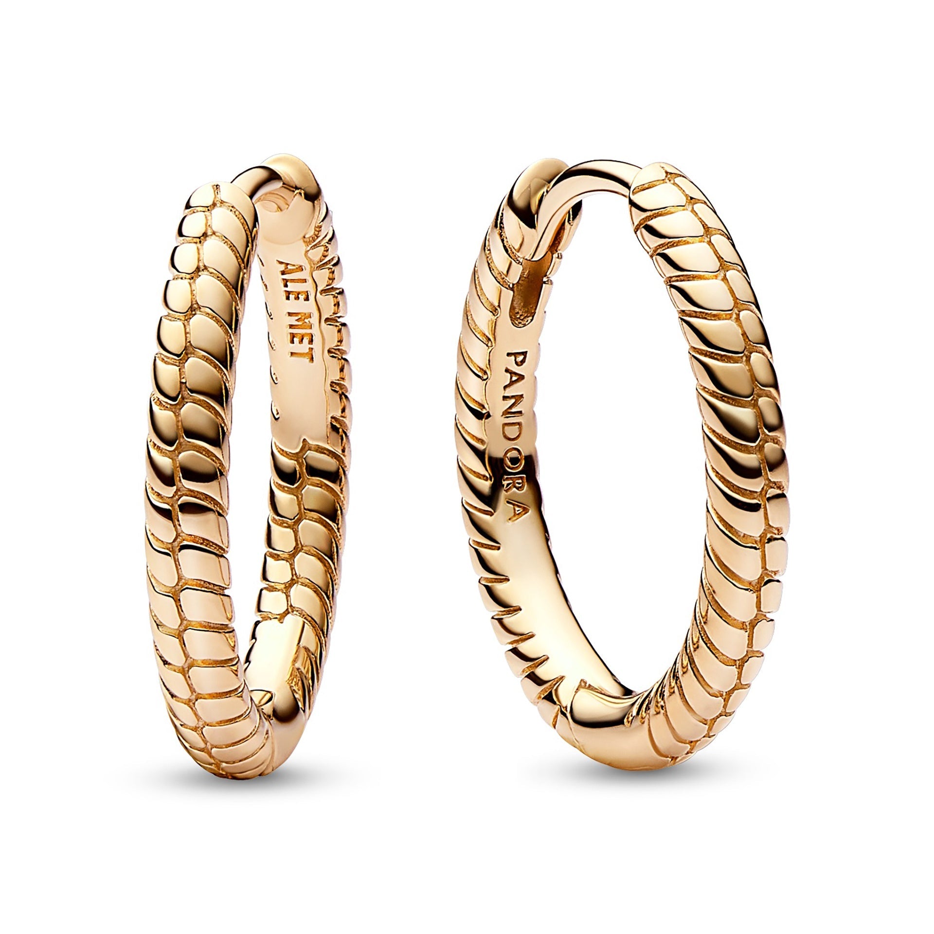 Pandora Moments Small Charm Hoop Earrings – Elegant Gift Jewelry Set