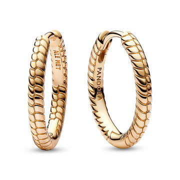 Pandora Moments Small Charm Hoop Earrings – Elegant Gift Jewelry Set