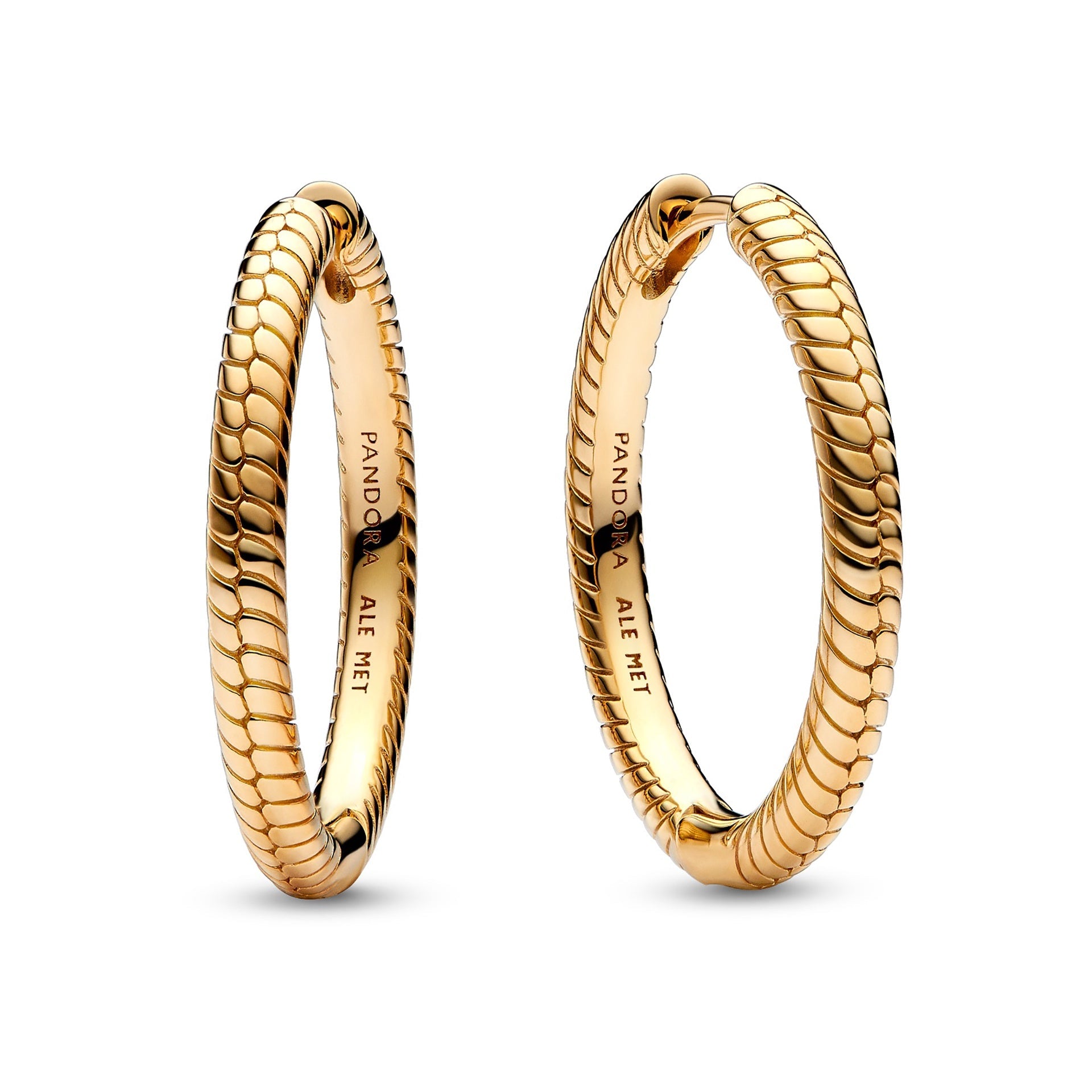 Moments Charm Hoop Earrings – Elegant Gift Jewelry Set