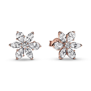 Sparkling Herbarium Cluster Stud Earrings – Elegant Gift Jewelry Set
