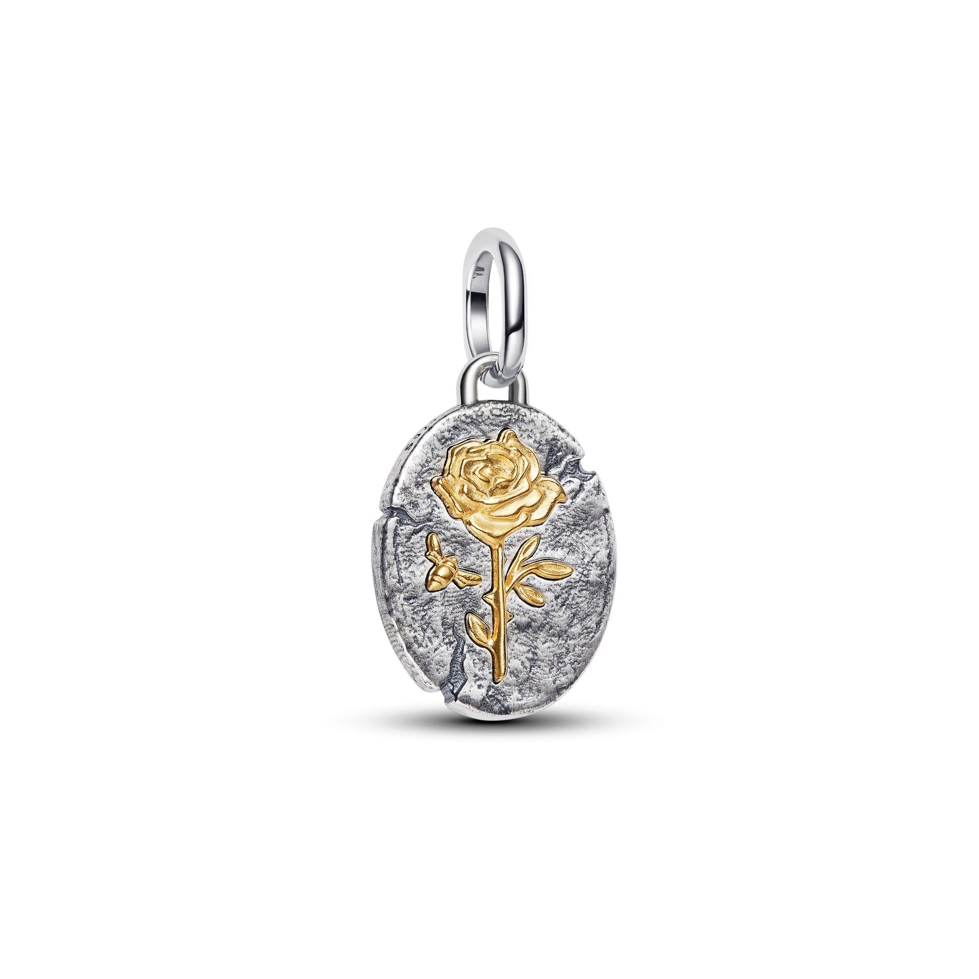 Pandora Rose Medallion Charm – Elegant Gift Jewelry Set