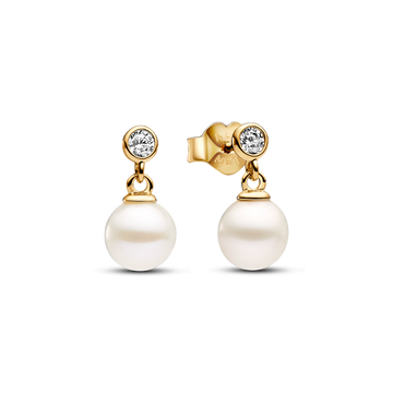 Treated Freshwater Cultured Pearl & Stone Drop Earrings – Elegant Gift Jewelry Set