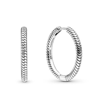 Pandora Moments Charm Hoop Earrings – Elegant Gift Jewelry Set