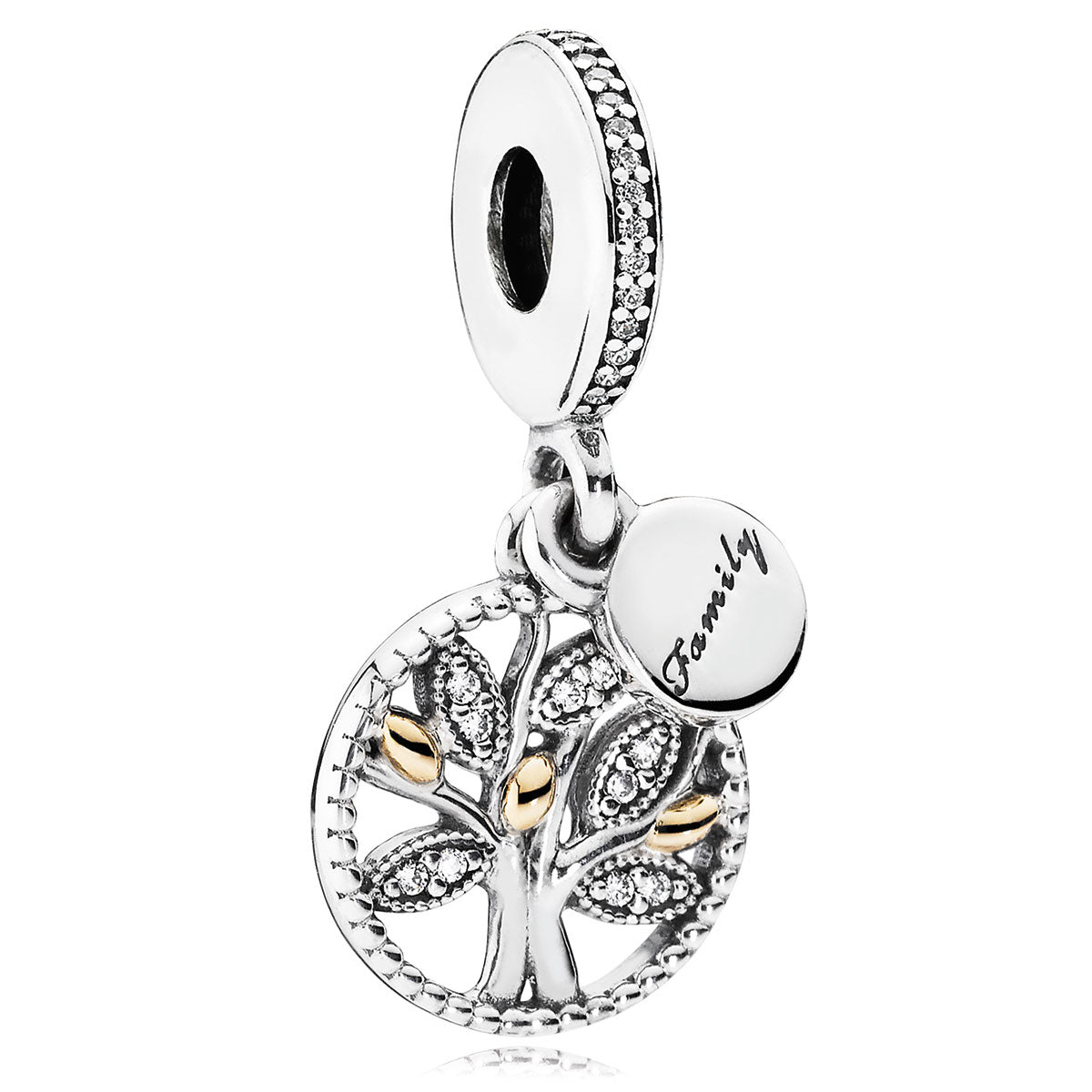 Pandora Family Heritage Dangle – Elegant Gift Jewelry Set